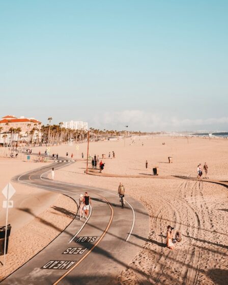 Photo polski nobel naukowy